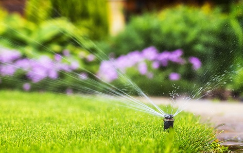 Landscape Irrigation
